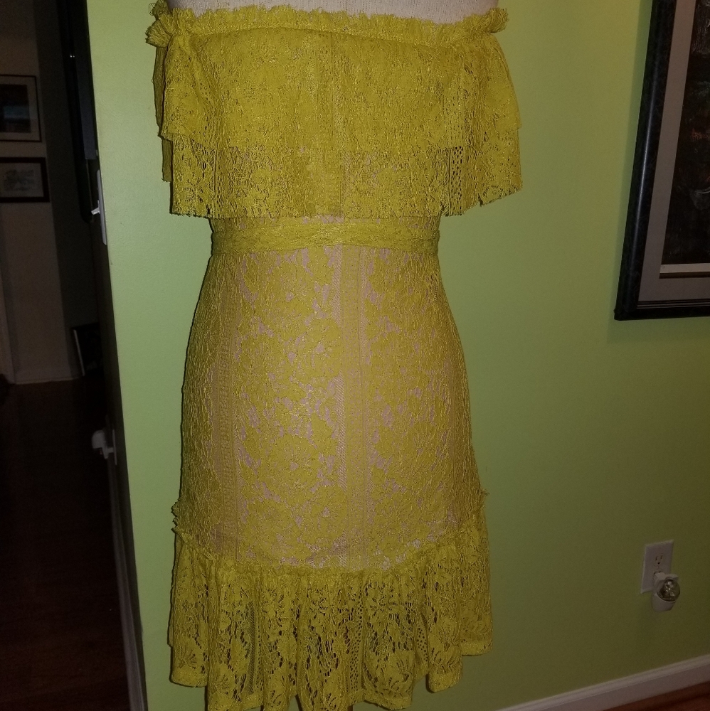 ⚡️Flirty and Feminine Lace Dress by Sharagano - Picture 6 of 7